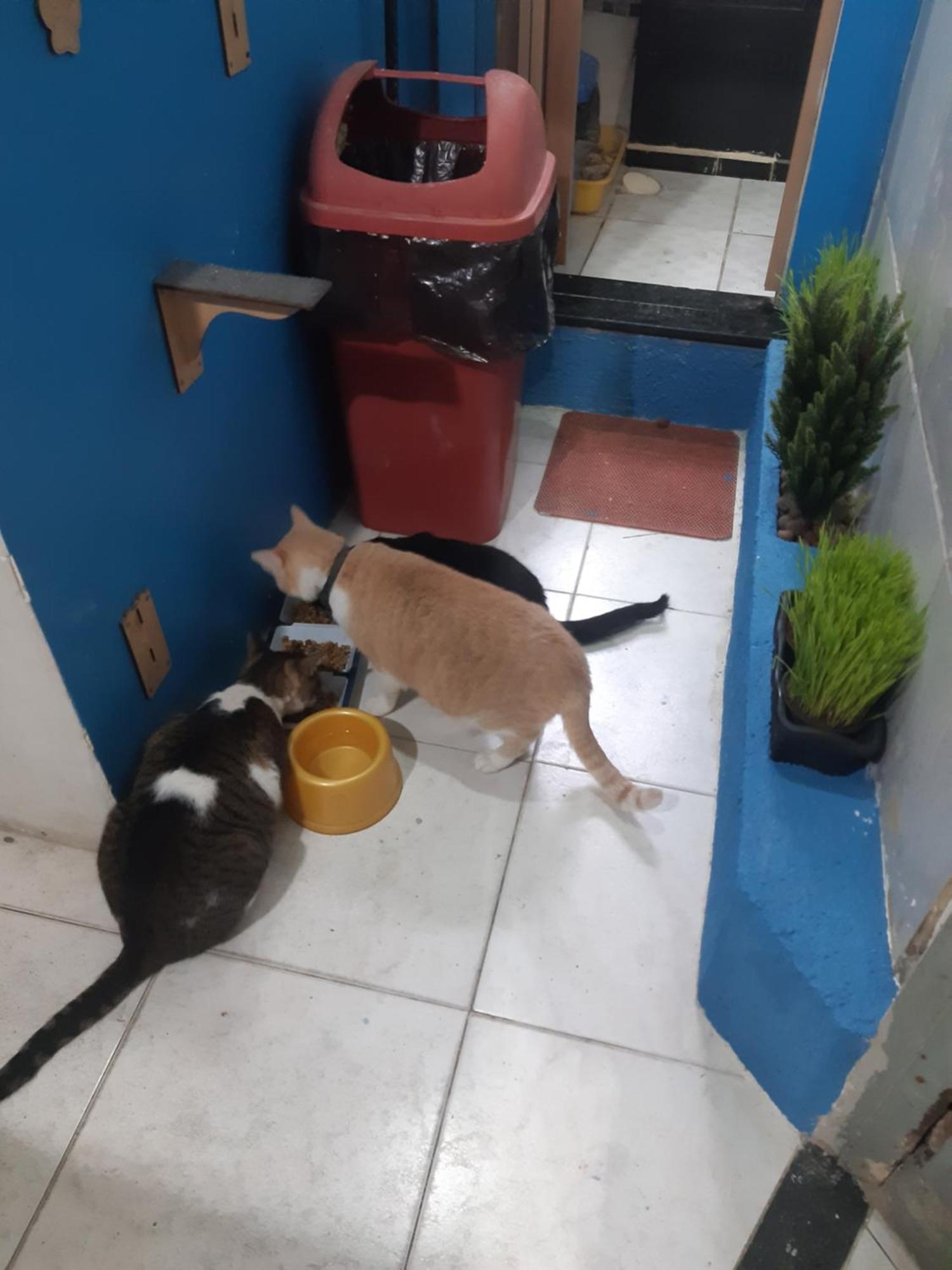 Sapucali Privative Hostel リオデジャネイロ エクステリア 写真